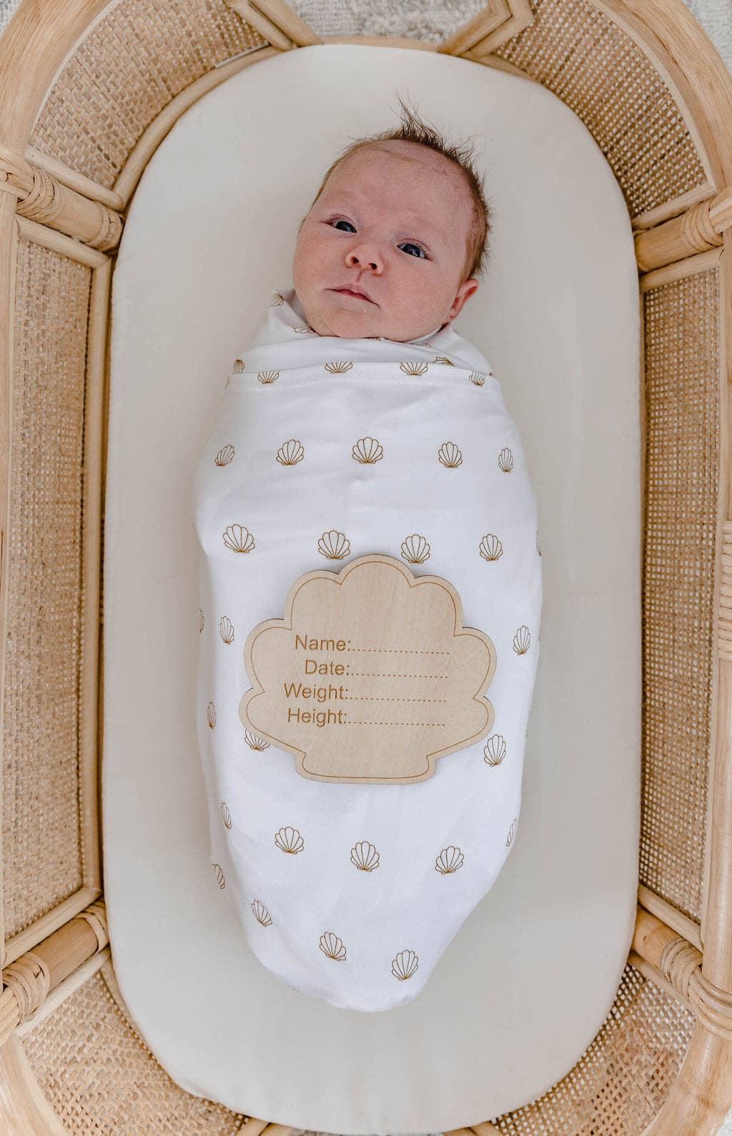 Announcement Plaque - Seashell