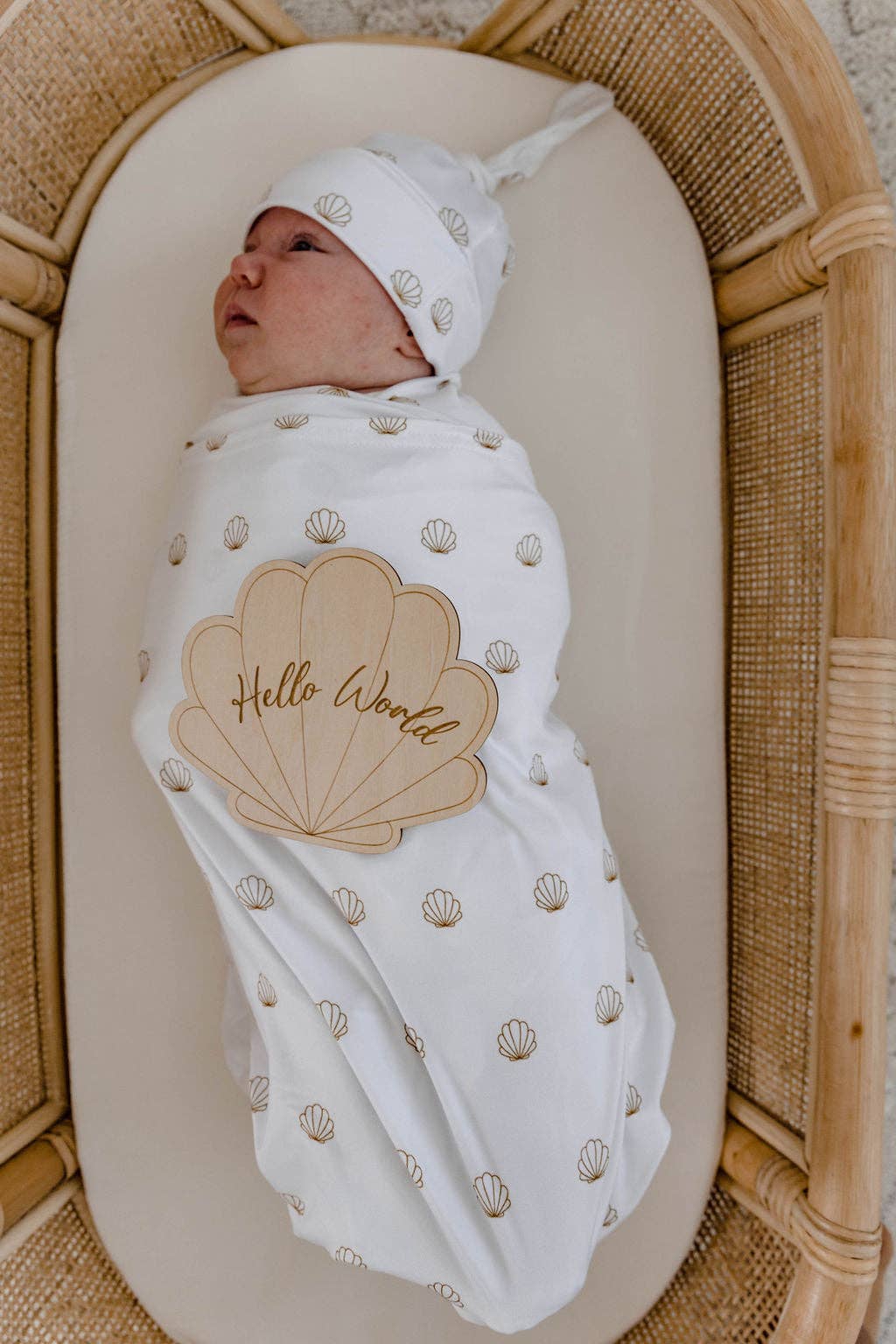 Announcement Plaque - Seashell