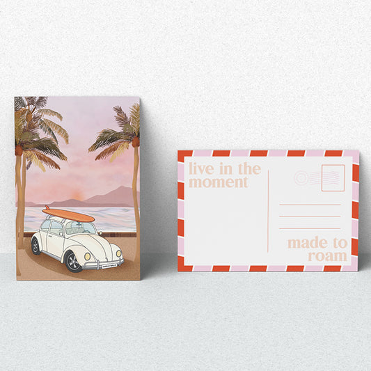 Citrus Springs Smelly Balls + Orchard Eve Fragrance