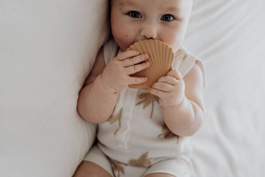 Silicone Teether - Clay Seashell – The Salty Rascals